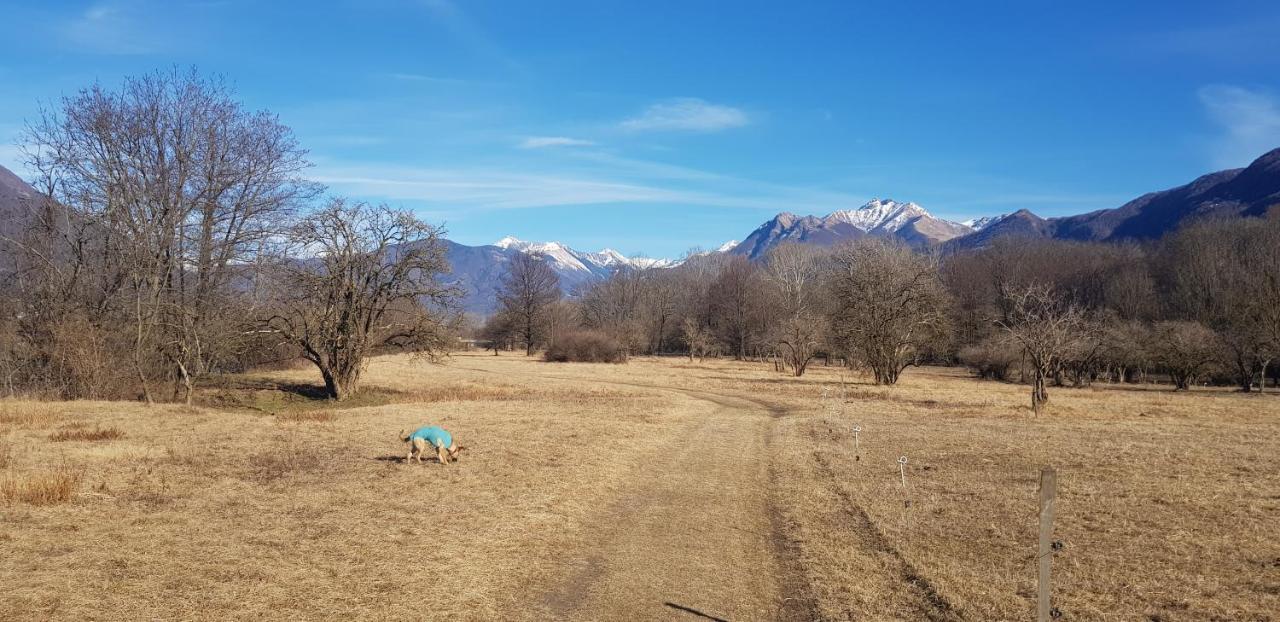 Appartamento Di Vacanza Casa Leoni Verscio Экстерьер фото